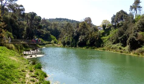 pantano de vallvidrera camí del pantà barcelona|El pantano de Vallvidrera, la tranquilidad hecha lugar físico.